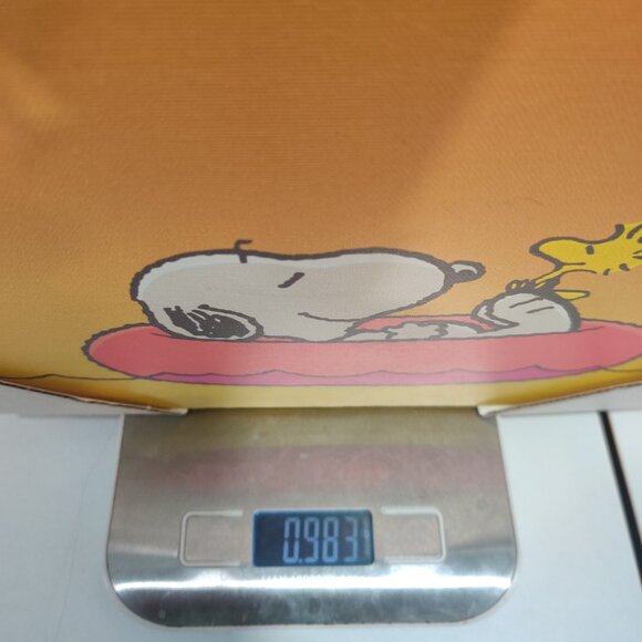 Peanuts Canvas Art Print  Snoopy Woodstock On Red Swim Raft Floaty 8.25x10.5" - Picture 13 of 13